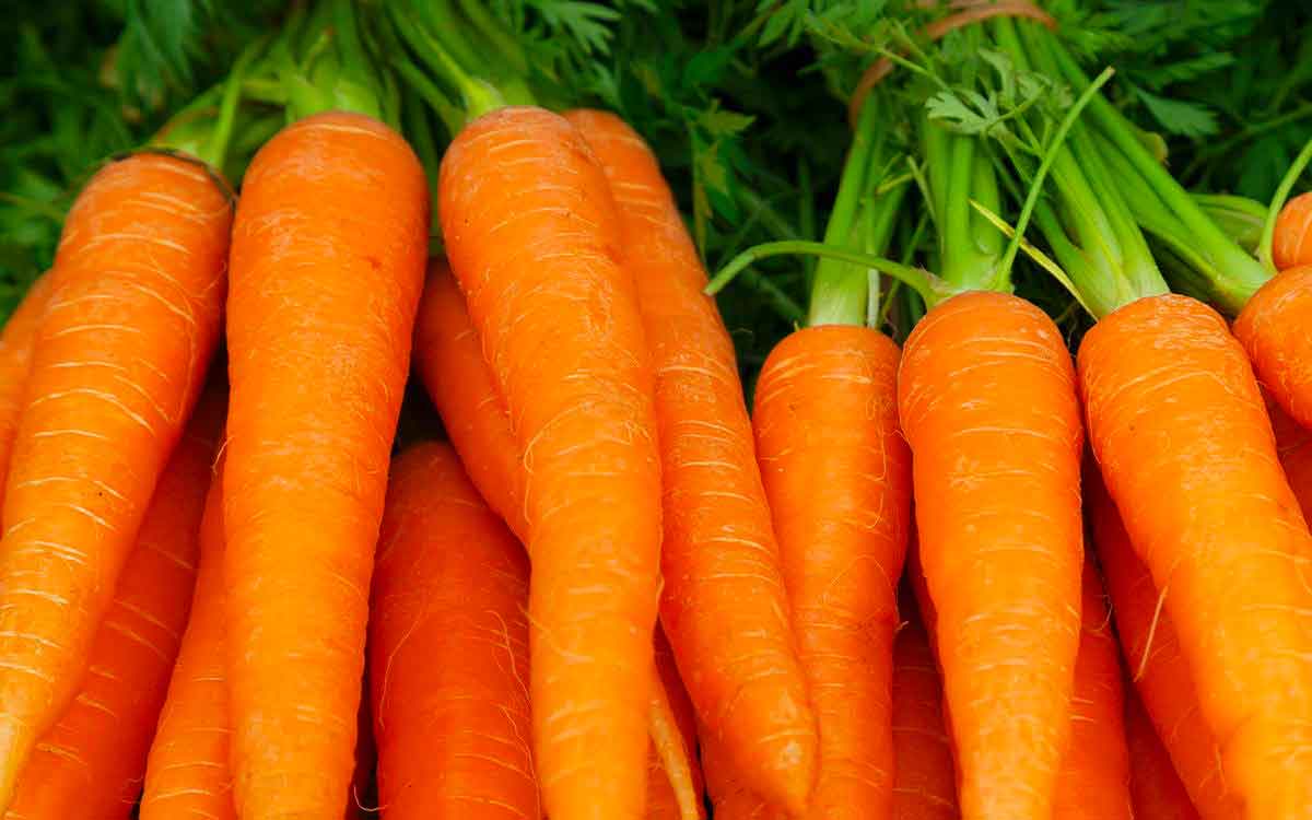 Daily One Carrot | రోజూ ఒక క్యారెట్‌ను తింటే ఏం జ‌రుగుతుందో తెలుసా..?