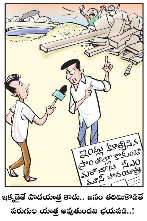 Cartoon