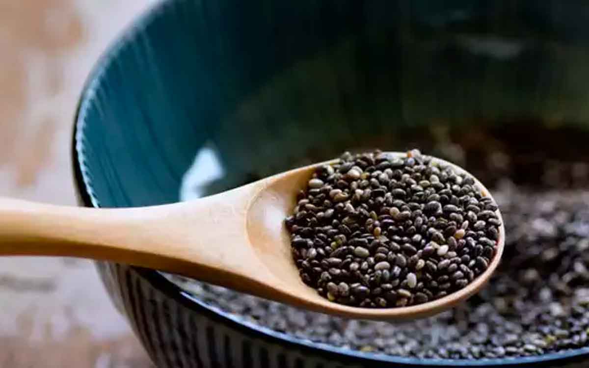Chia Seeds | ప‌ర‌గ‌డుపునే చియా సీడ్స్‌ను తినాలి.. ఎందుకంటే..?