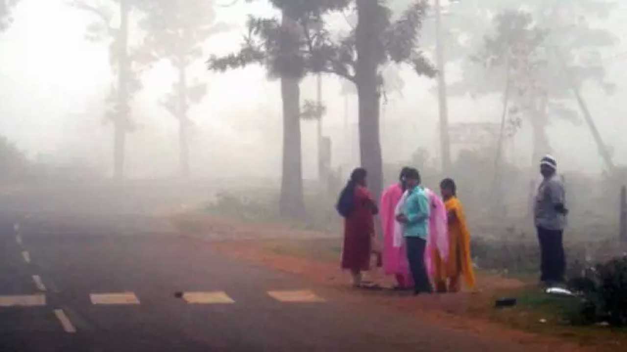 Cold Weather | ఉమ్మడి మెదక్‌లో పడిపోయిన ఉష్ణోగ్రతలు.. కోహిర్‌లో 9.3 డిగ్రీలు