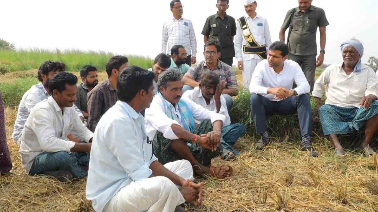 దిగుబడి ఎలా ఉంది? ధాన్యం డబ్బులు వచ్చాయా?