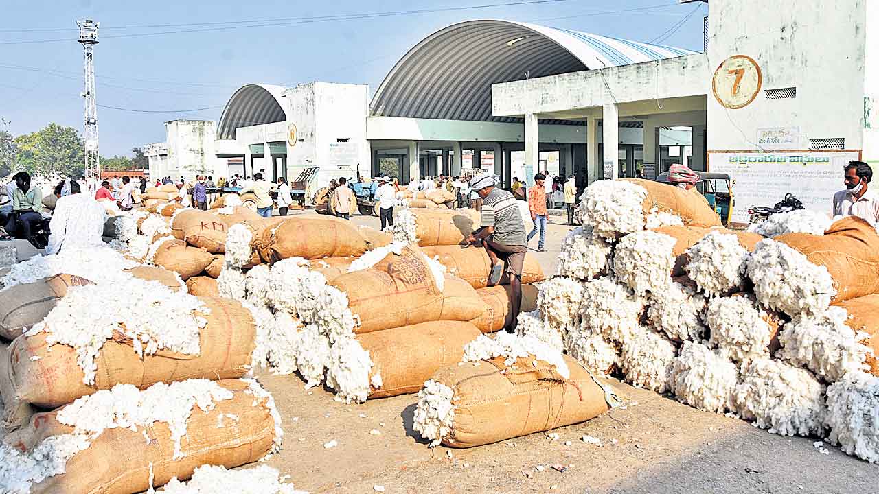 Telangana | పత్తి రైతులపై పిడుగు.. నేటి నుంచి కొనుగోళ్లు బంద్‌