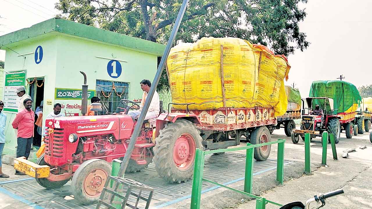Cotton Prices, Telangana