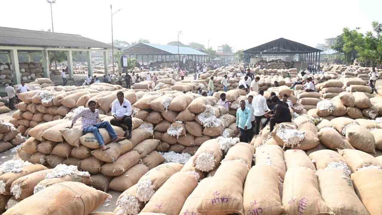 దూది రైతులు దుఖం