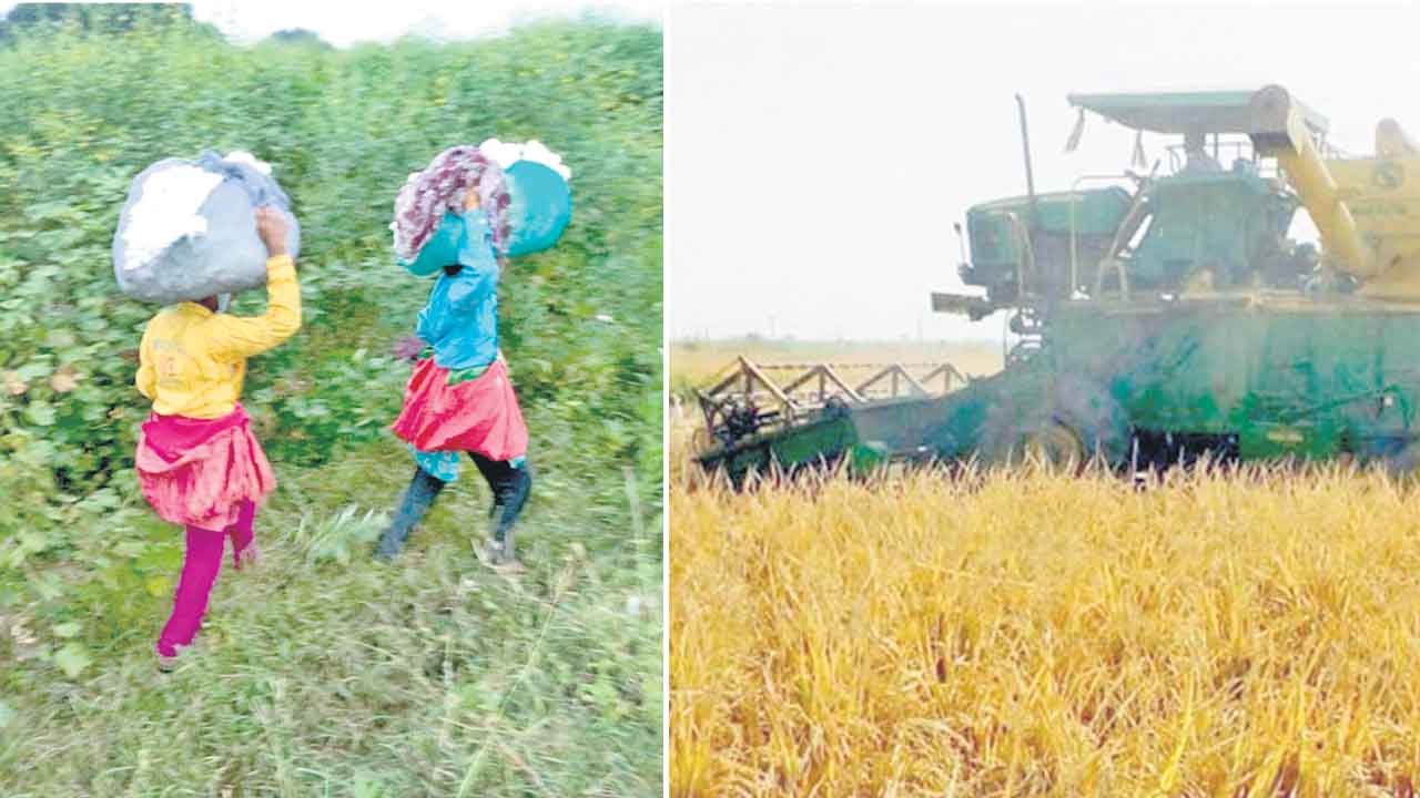 పంటలు కొంటలే!