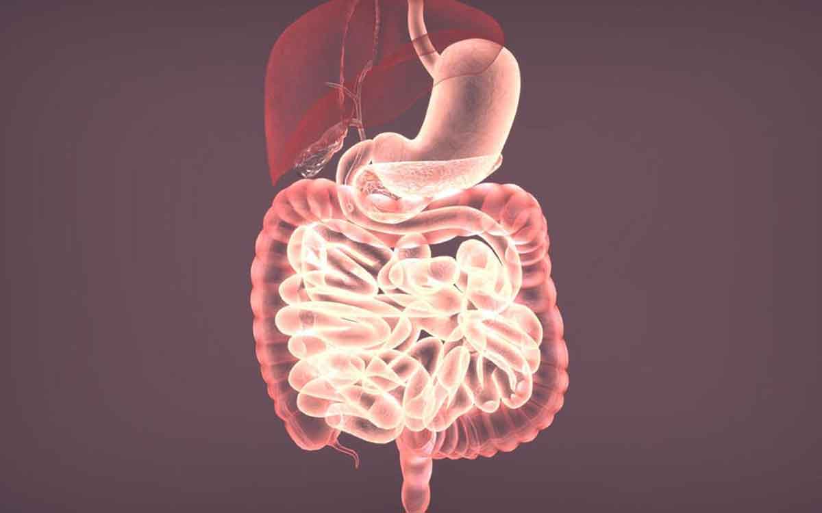 Digestive System | ఈ అల‌వాట్లు మీకు ఉన్నాయా.. అయితే మీ జీర్ణ‌వ్య‌వ‌స్థ ప‌ని అయిపోయిన‌ట్లే..!