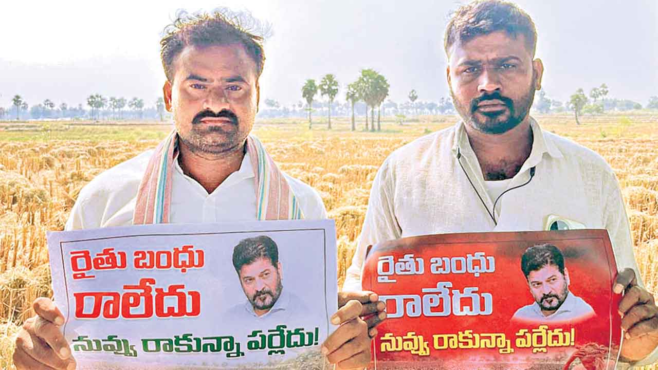 Farmers