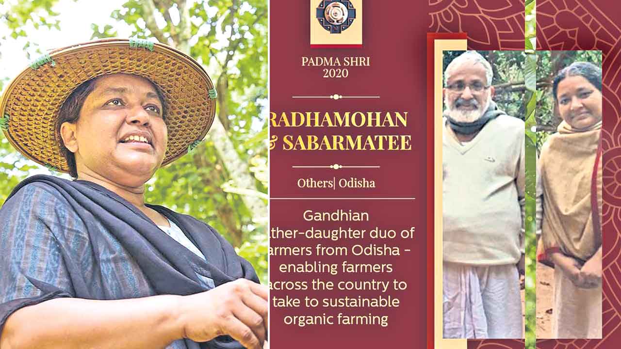 బీడు భూమికి ప్రాణం పోశారు