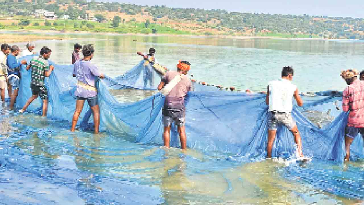 జలపుష్ప విలాపం !