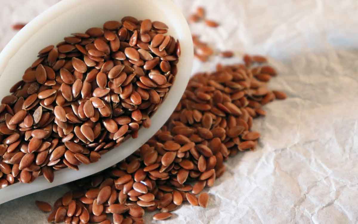 Flax Seeds Benefits | రోజూ గుప్పెడు అవిసె గింజ‌ల‌ను తినాల్సిందే.. ఎందుకో తెలుసా..?
