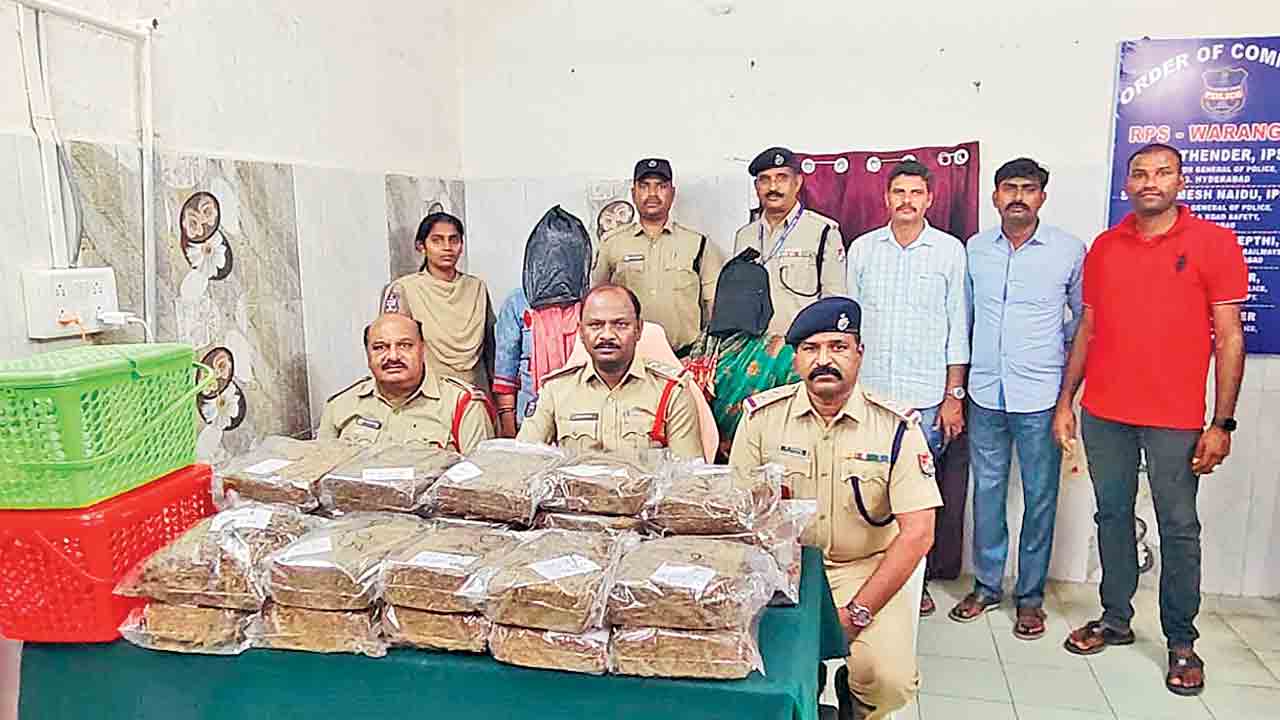48 కిలోల గంజాయి పట్టివేత