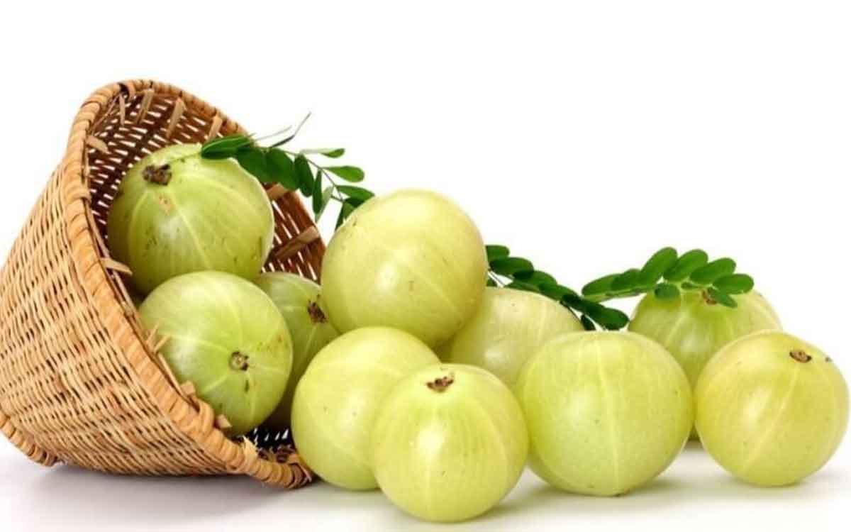 Gooseberry Benefits | ఈ సీజ‌న్‌లో రోజూ ఒక ఉసిరికాయ‌ను త‌ప్ప‌కుండా తినాల్సిందే.. ఎందుకో తెలుసా..?