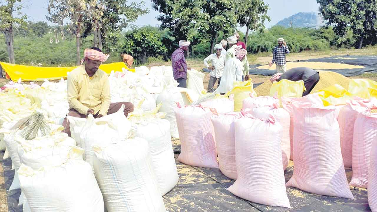 Grain Farmers