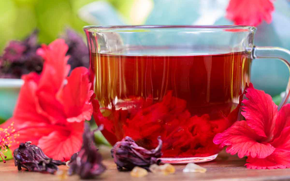 Hibiscus Flowers Tea | రోజూ ఒక క‌ప్పు మందార పువ్వుల టీని తాగితే ఏం జ‌రుగుతుందో తెలుసా..?