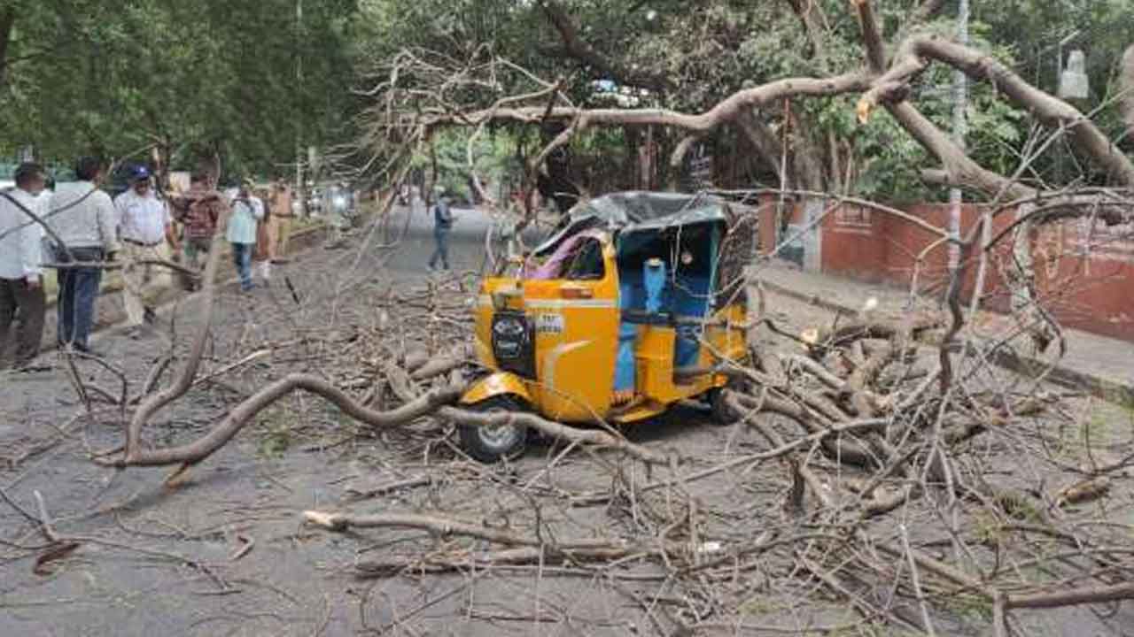Hyderabad | సెక్రటేరియట్‌ వెనుక కూలిన భారీ వృక్షం.. వ్యక్తికి గాయాలు