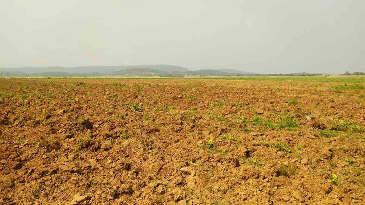 కబ్జాల పంట!