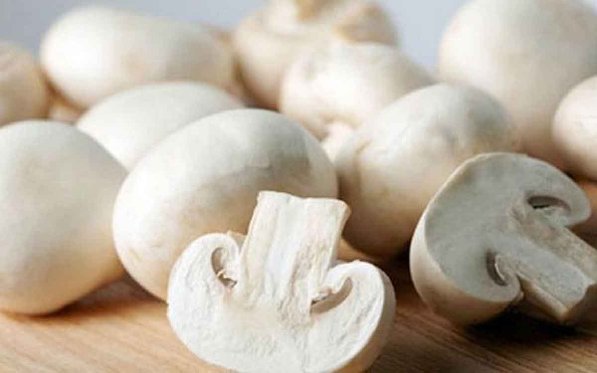 Mushrooms For Beauty | య‌వ్వ‌నంగా క‌నిపించాలా..? అయితే పుట్టగొడుగుల‌ను తినండి..!