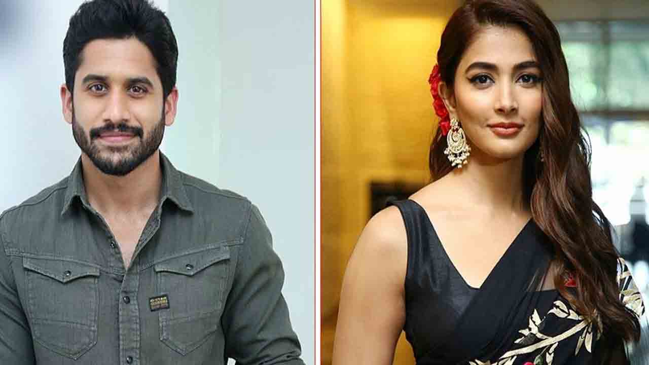 Naga Chaitanya | నాగ చైతన్యతో మరోసారి జత కట్టనున్న బుట్టబొమ్మ.!