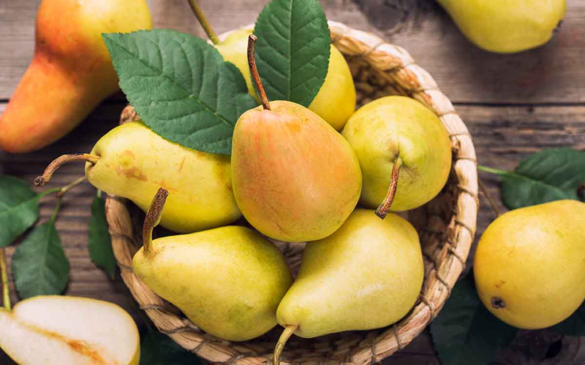 Pears Fruits Benefits | బయట ఈ పండ్లు కనిపిస్తే విడిచిపెట్టకుండా తెచ్చుకోండి.. అనేక లాభాలు పొందవచ్చు..!