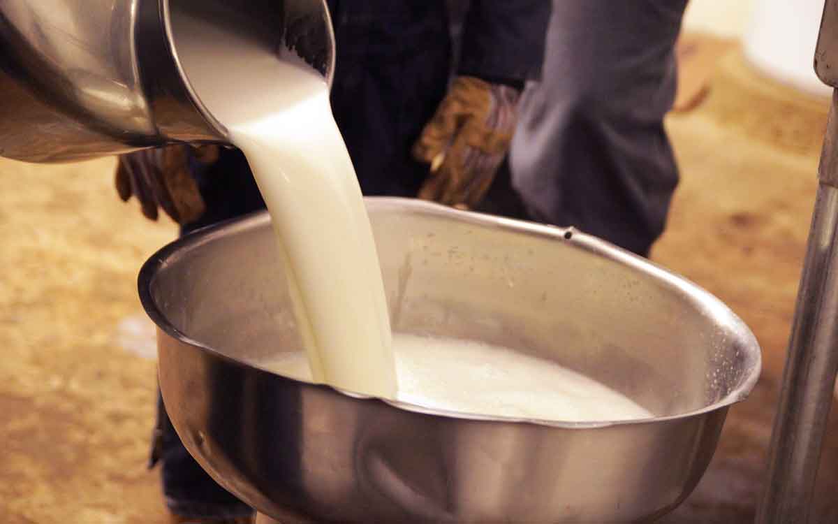 Raw Milk | పాలను మ‌రిగించ‌కుండా తాగ‌కండి.. ప్ర‌మాదం..