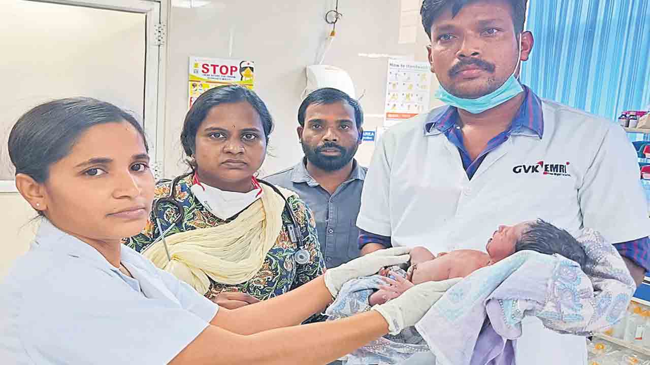 ఎవరి పాపమో..చెట్ల పొదల్లో పసికందు