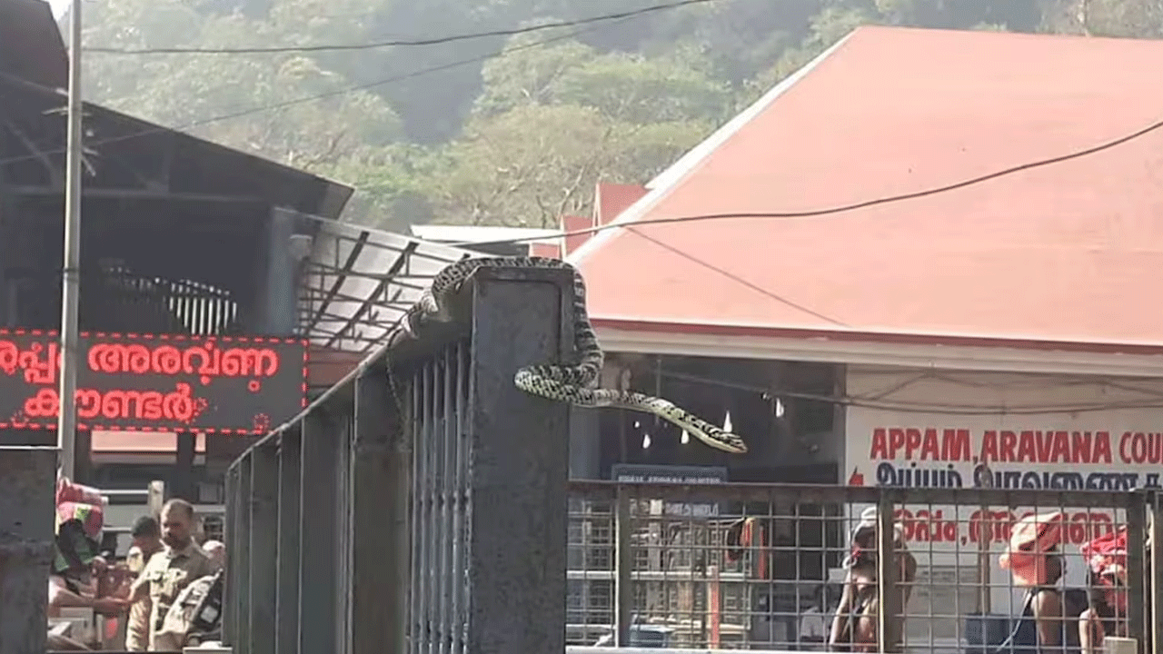 Sabarimala: శ‌బ‌రిమ‌ల ఆల‌యంలో 33 పాముల ప‌ట్టివేత‌