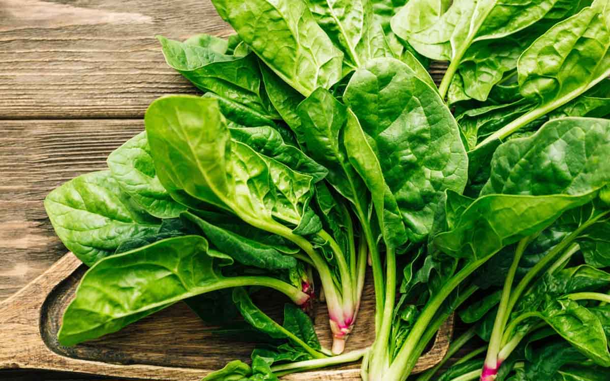 Spinach | మ‌హిళ‌లు పాల‌కూర‌ను ఎక్కువ‌గా తినాలి.. ఎందుకంటే..?