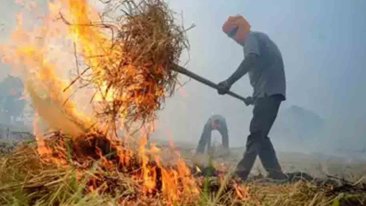 Stubble Burning | కేంద్రం కీలక నిర్ణయం.. పంట వ్యర్థాలు తగలబెట్టే రైతులకు రెట్టింపు జరిమానా