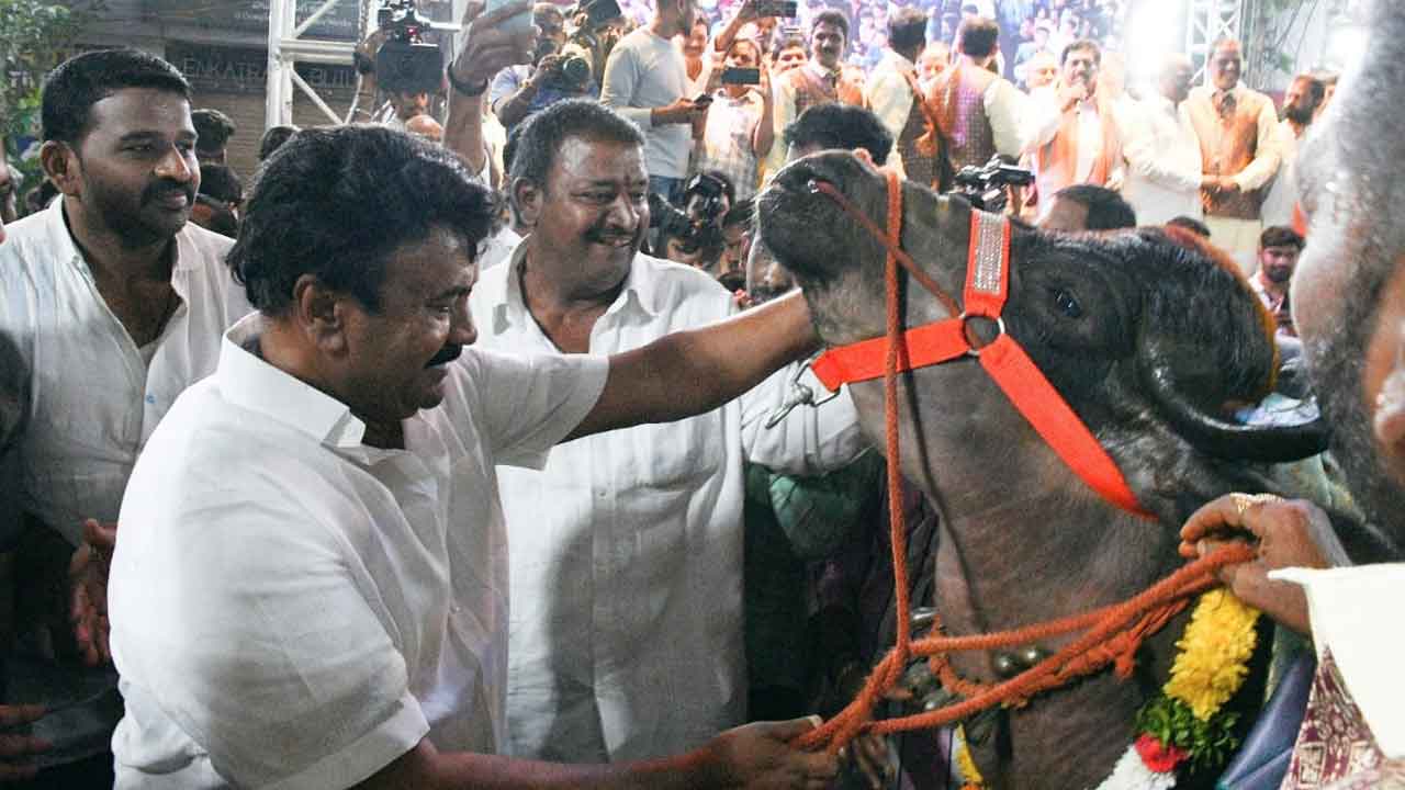 MLA Talasani | యాదవుల ఐక్యతకు చిహ్నం సదర్ : ఎమ్మెల్యే తలసాని