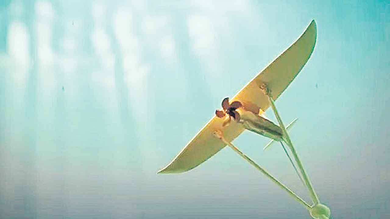 Tidal Kites | నీటిలో ఎగురుతూ విద్యుత్తు ఉత్పత్తి