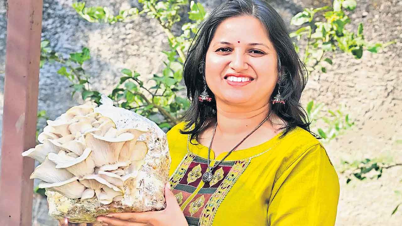 పరిశోధనే వ్యాపారంగా..