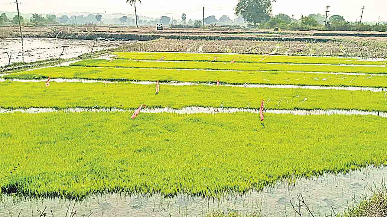 రైతుభరోసా ఏమాయే!