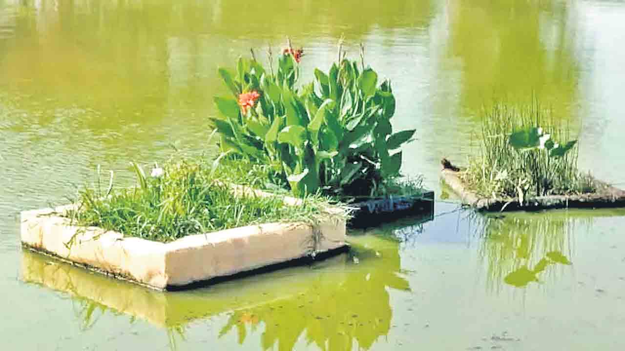 చెరువుల సుందరీకరణపై పట్టింపేదీ?