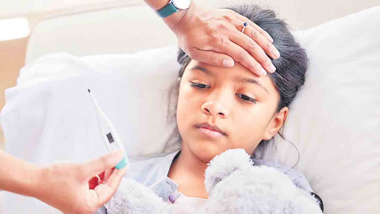 Winter Virus | వింటర్‌ వైరస్‌లకు వెరవొద్దు.. సీజనల్‌ వ్యాధుల్ని తప్పించుకుందాం ఇలా..