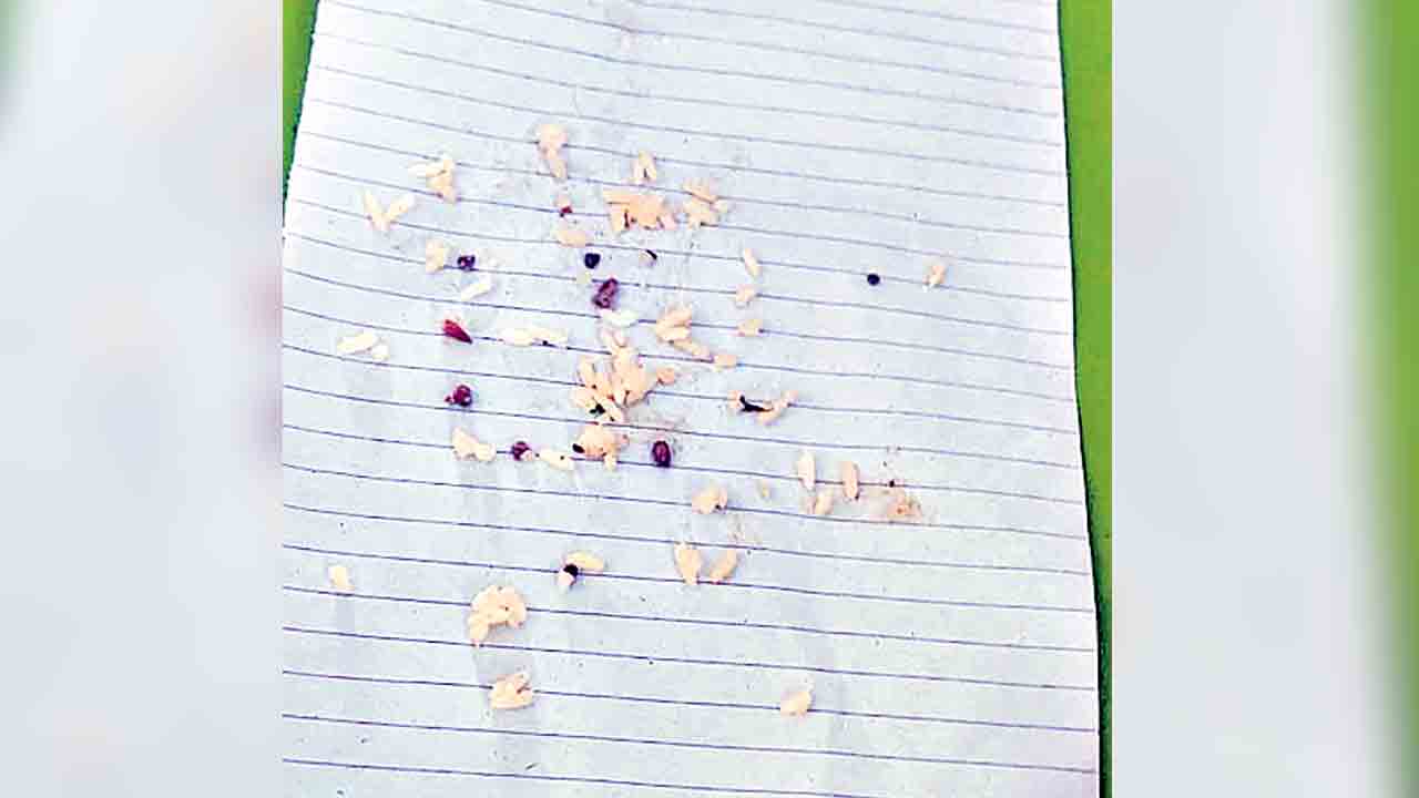 మళ్లీ పురుగుల అన్నం