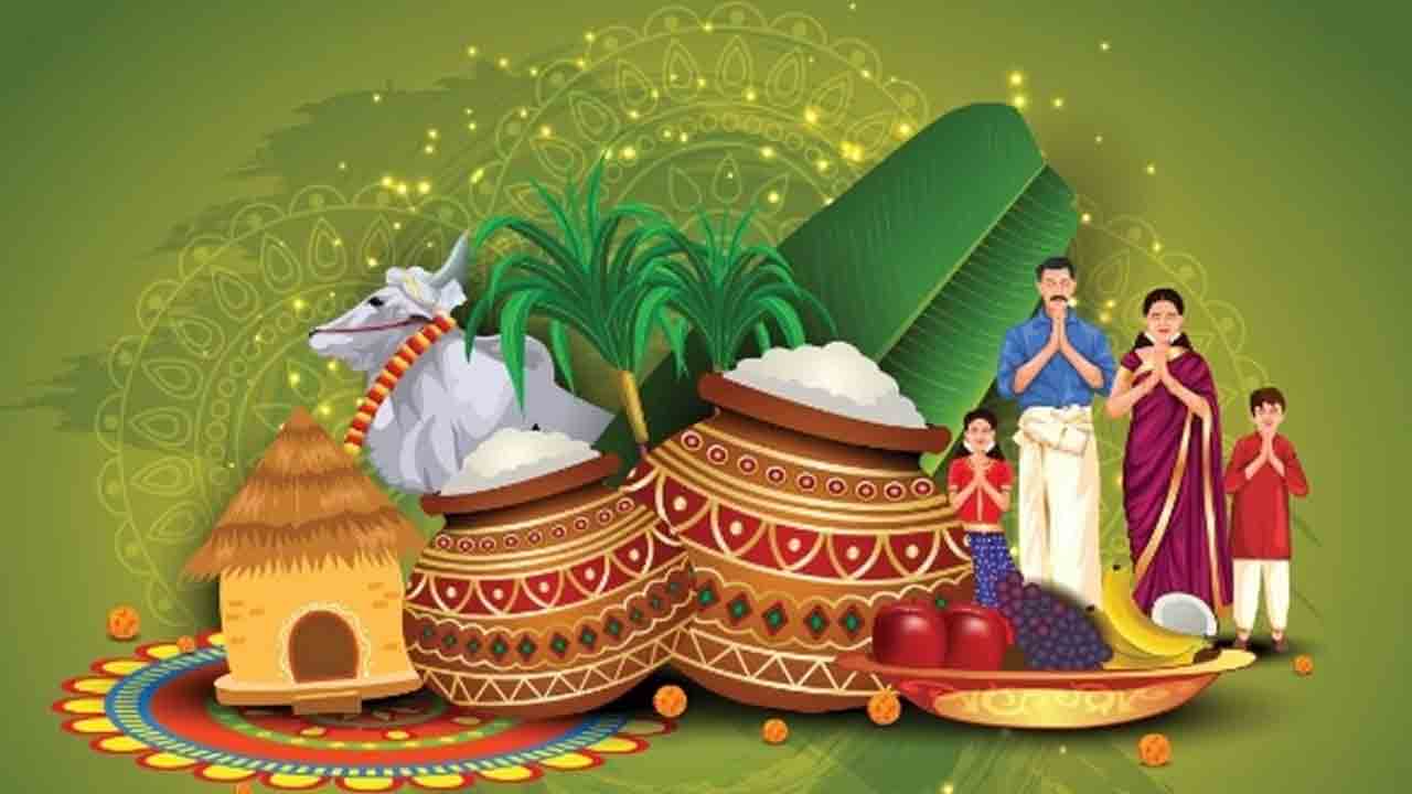 సంక్రాంతి నిలబెట్టడం అంటే.. ఈ నెలలో నువ్వులు దానం చేయాలంటారు ఎందుకు?