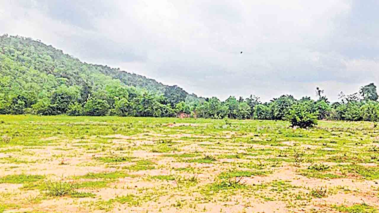 అమ్మకానికి హౌజింగ్‌ బోర్డు భూములు