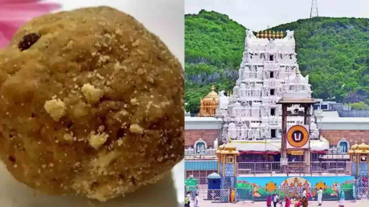Tirumala Laddu | ఆ నెయ్యి తయారైంది ఏఆర్‌ డెయిరీలో కాదు.. తిరుమల లడ్డూ కల్తీ కేసులో వెలుగులోకి కీలక విషయం