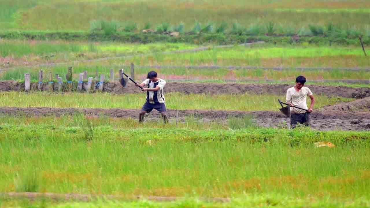 పంట వ్యర్థాల కాల్చివేత శిక్షార్హం