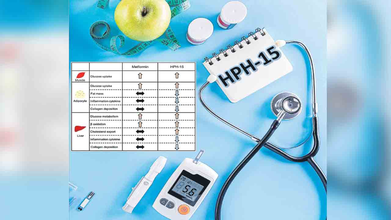HPH-15 | మధుమేహం పనిపట్టే కొత్త ఔషధం.. షుగర్తోపాటు కొవ్వునూ తగ్గిస్తుంది!