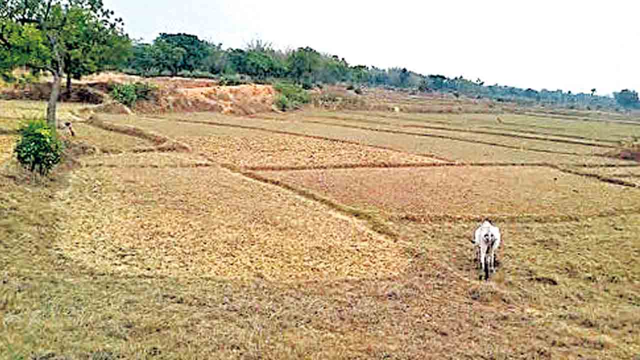 Bhu Bharathi | భూమి అమ్మేముందు సర్వే.. రిజిస్ట్రేషన్‌ కాగానే మ్యుటేషన్‌