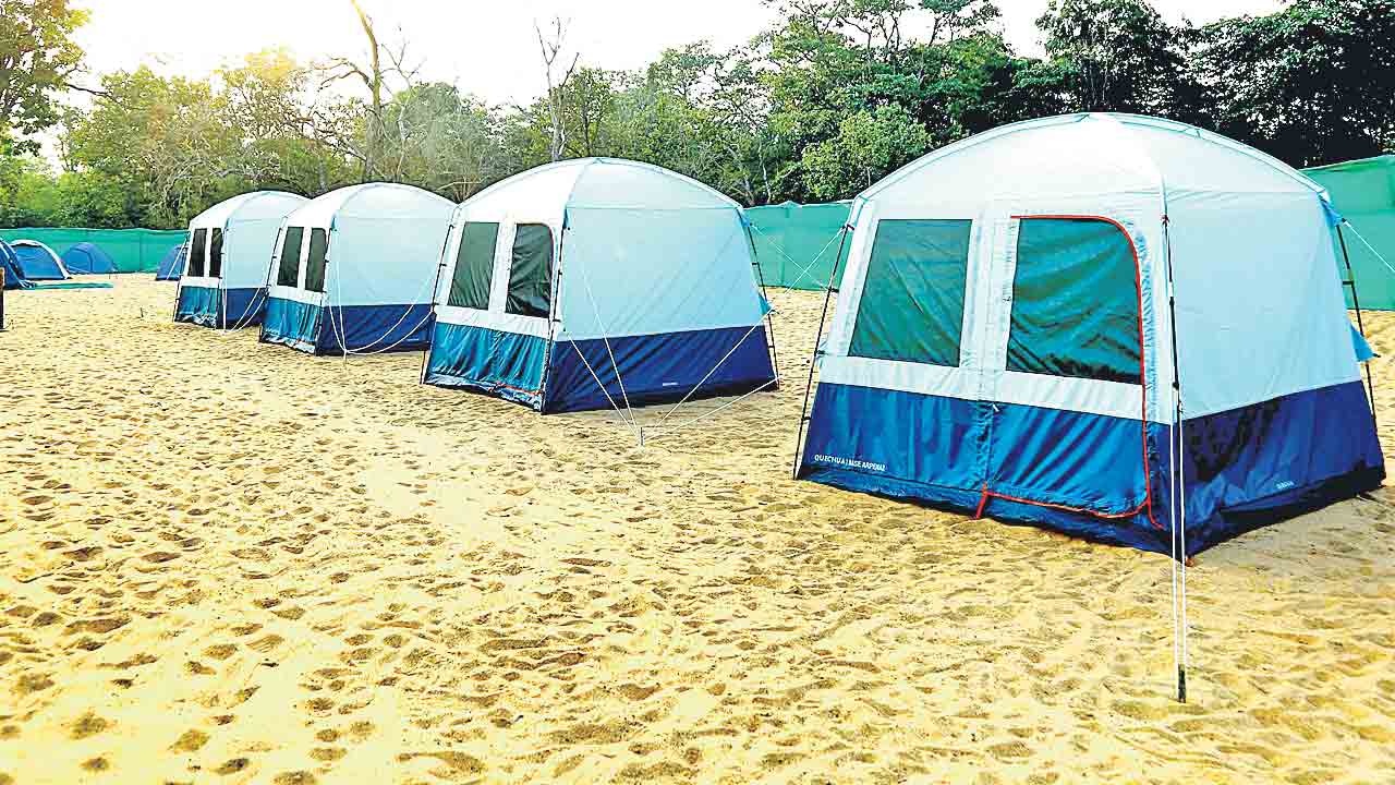 తాడ్వాయి పర్యాటక ప్రాంతంలో మరో అద్భుతం