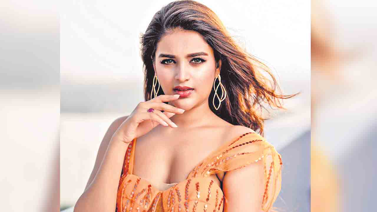 Nidhi Agarwal | 2025 లక్కీ ఇయర్‌.. ఇద్దరు సూపర్‌స్టార్లతో నిధి అగర్వాల్‌