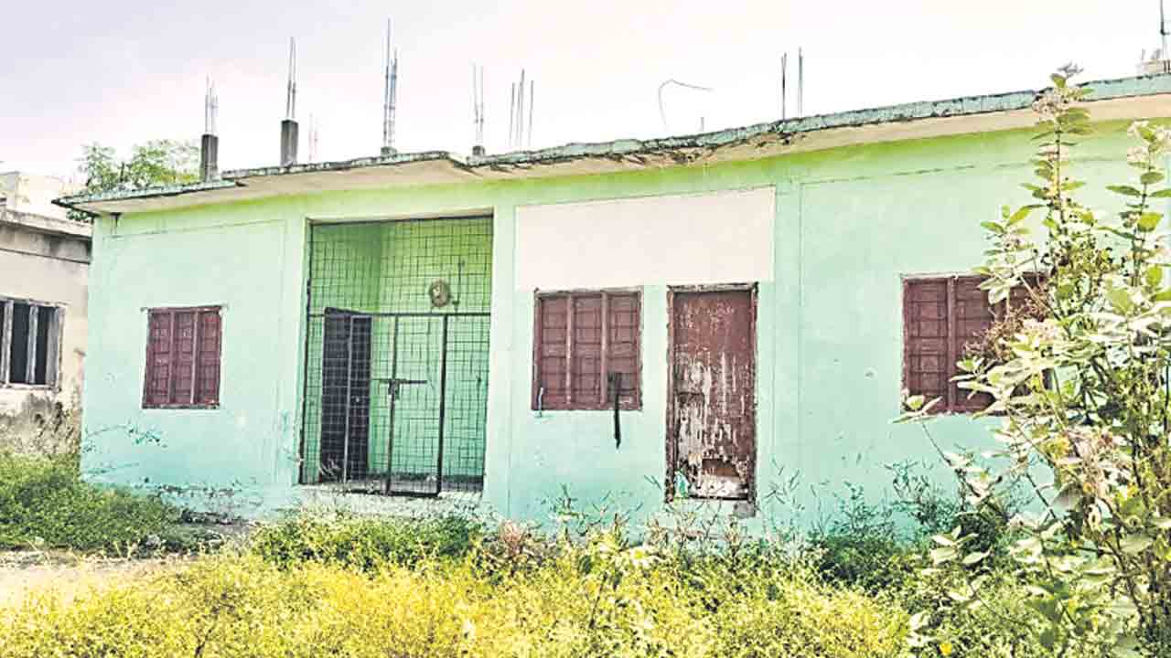 అందని ద్రాక్షలా వైద్యం