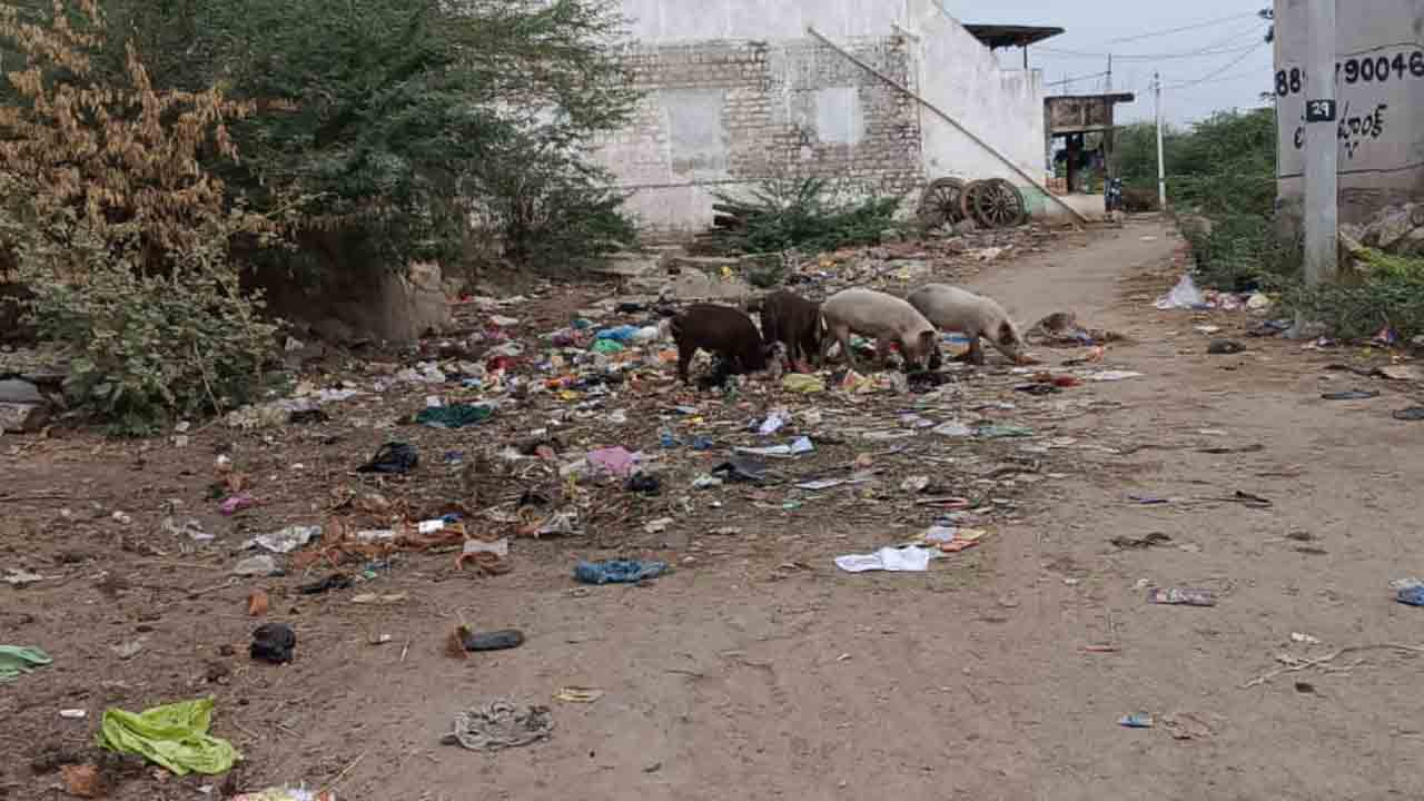 పడకేసిన పారిశుధ్యం