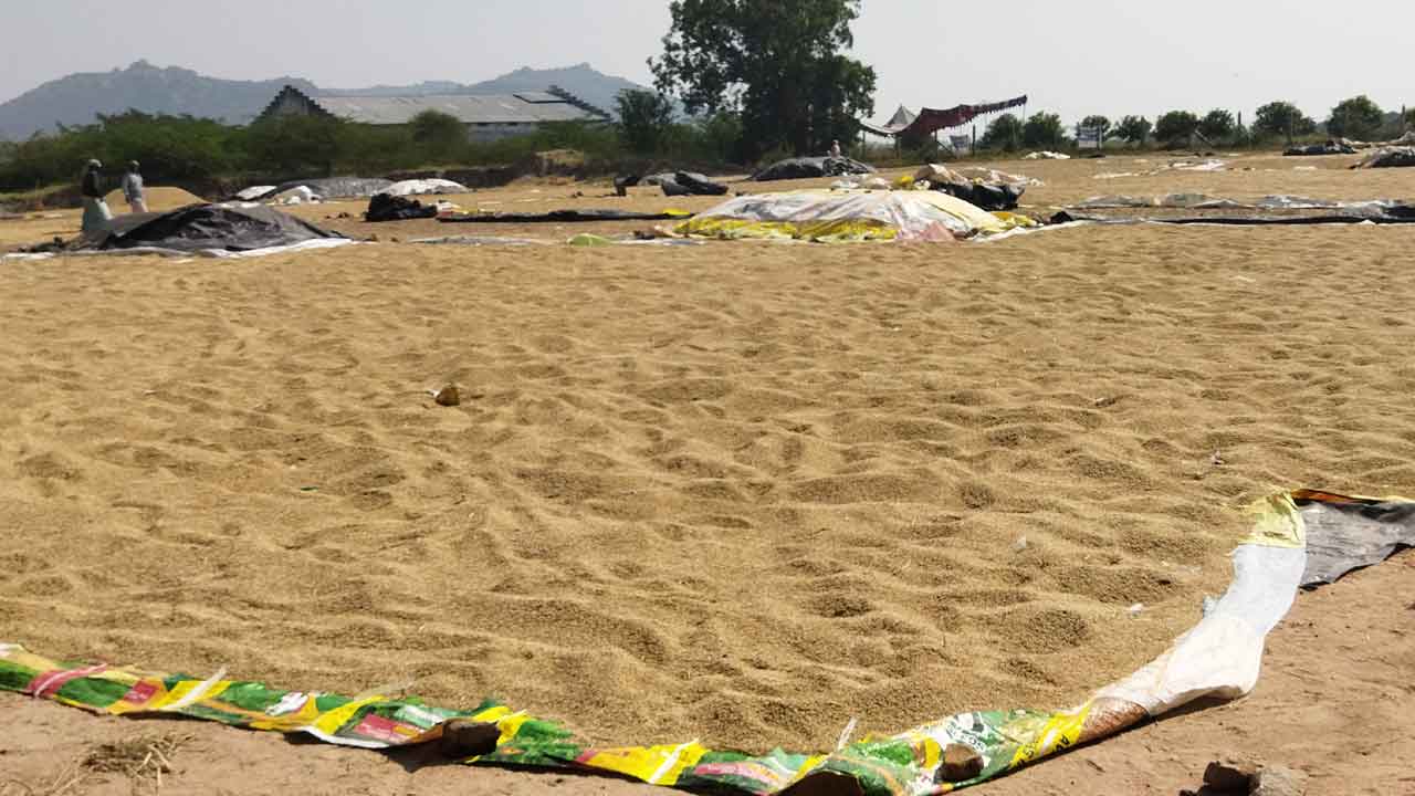 తేమ పేరుతో జాప్యం