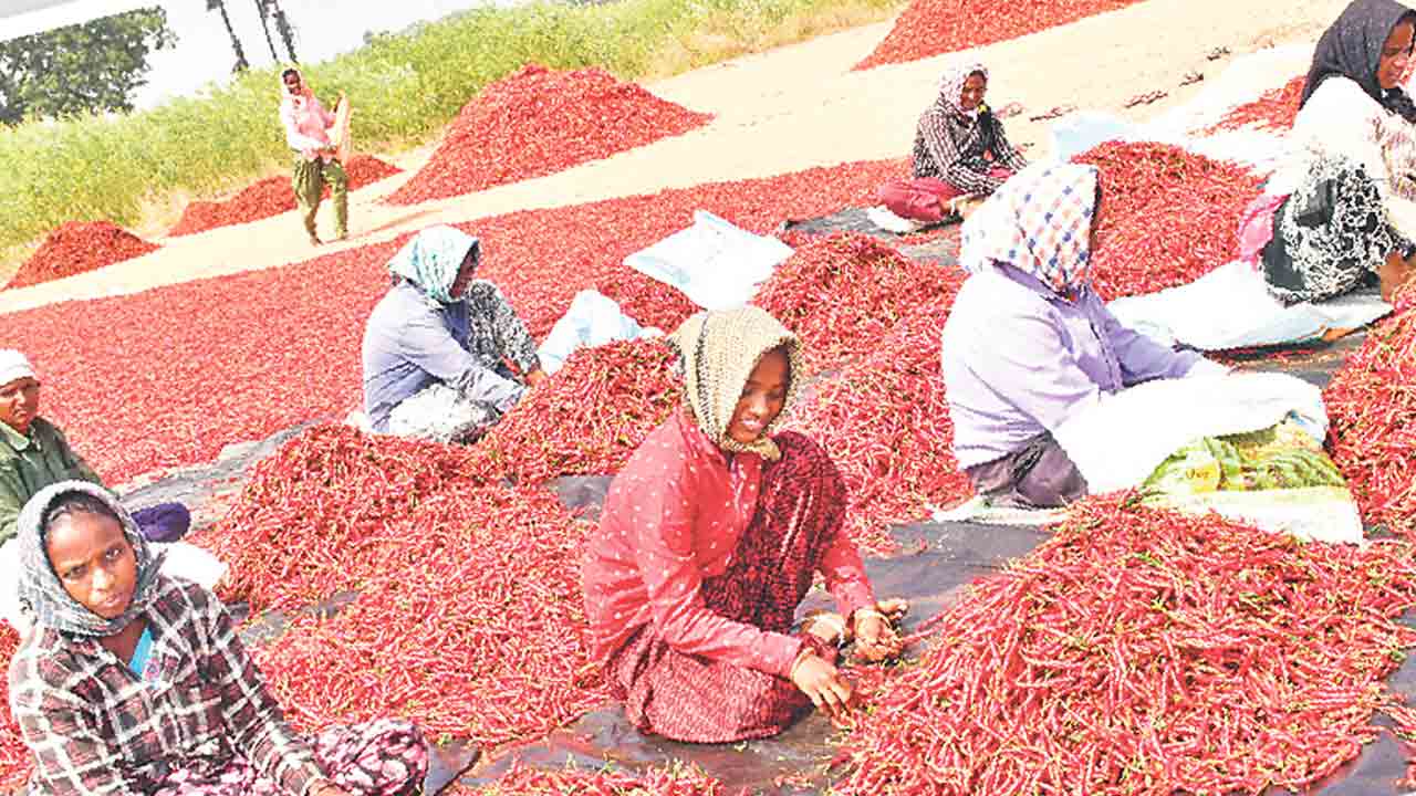 రైతు కంట్లో కారం