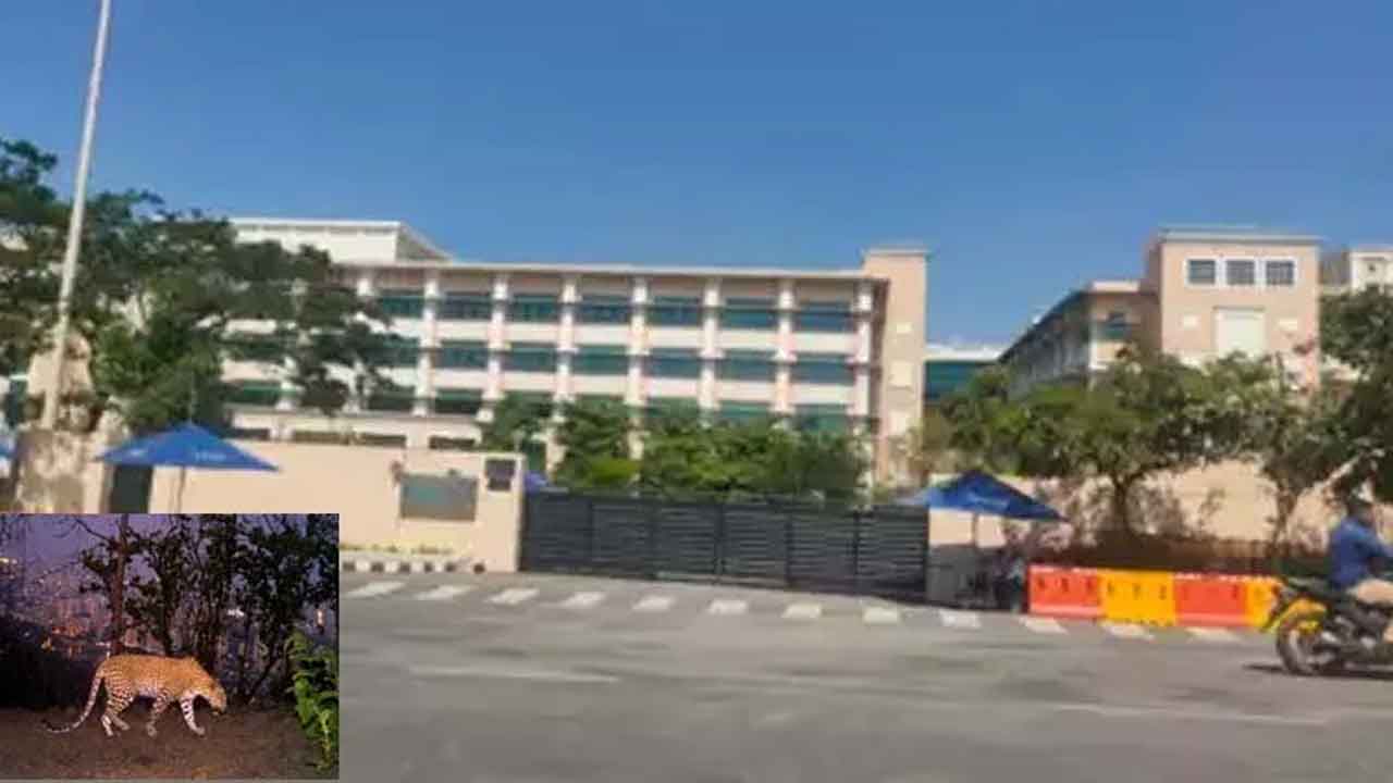 ఇన్ఫోసిస్‌ క్యాంపస్‌లో చిరుత కలకలం