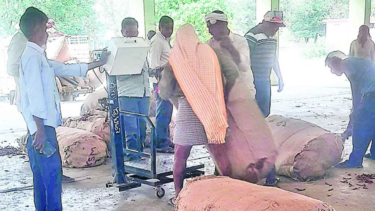 మిర్చి యార్డులో జీరో కాంటాలు..