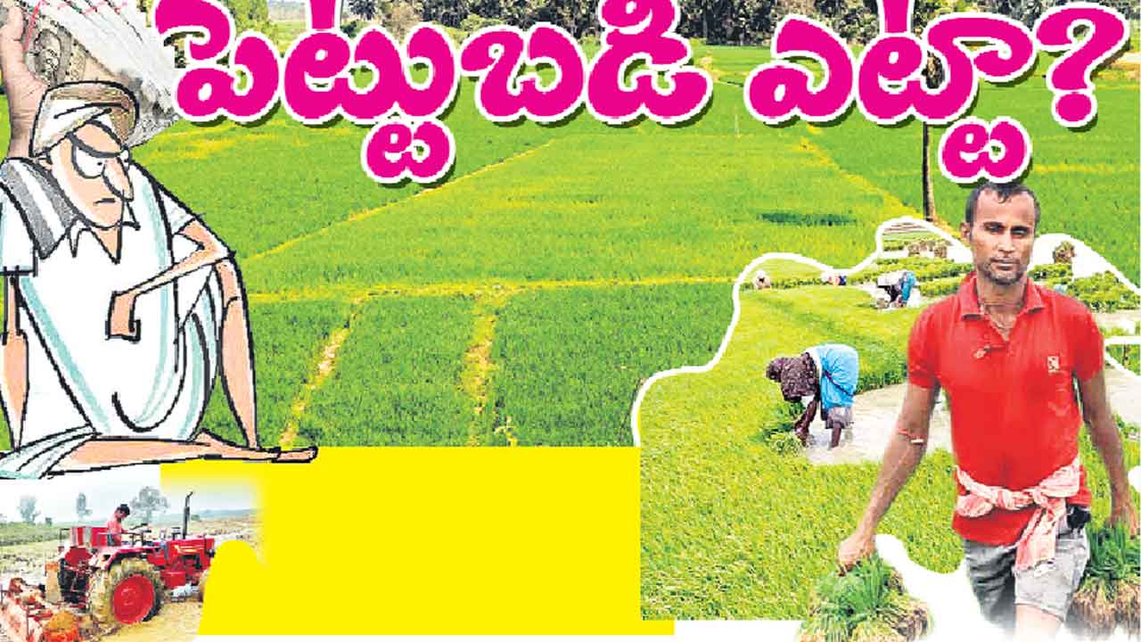 పెట్టుబడి ఎట్టా?